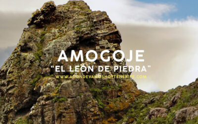 Amogoje, «El León de Piedra»