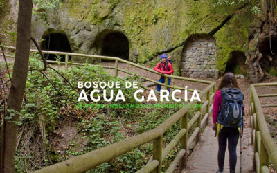 Bosque de Agua García | adondevamoshoy