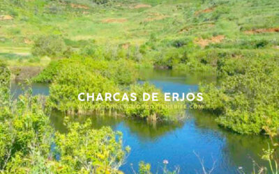 Charcas de Erjos | ¿A dónde vamos hoy en Tenerife?