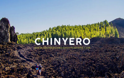 Sendero circular Volcán Chinyero | ¿A dónde vamos hoy en tenerife?
