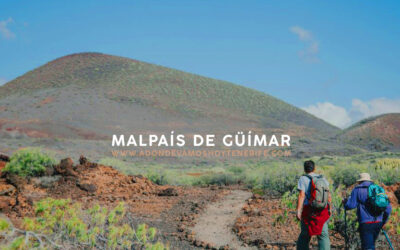 Malpaís de Güimar | ¿A dónde vamos hoy?