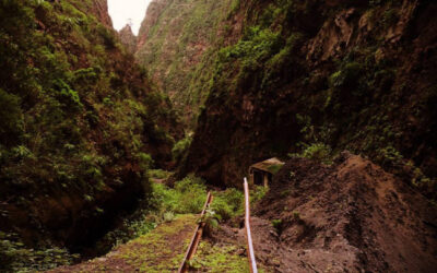 7 Lugares terroríficos en Tenerife