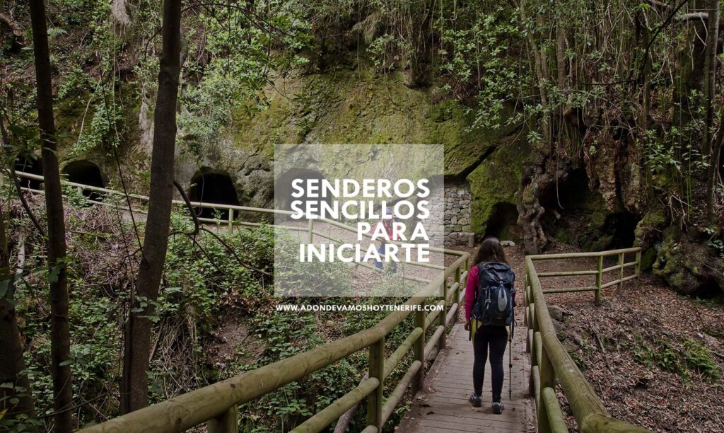 8 Senderos sencillos ideales para iniciarte