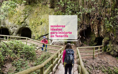 8 Senderos sencillos en Tenerife, ideales para iniciarte.