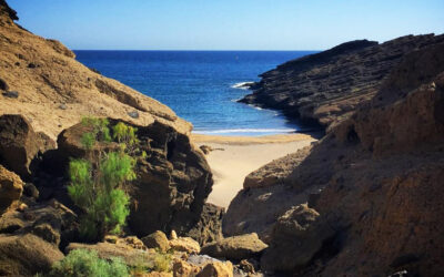 8 Senderos que terminan en playa
