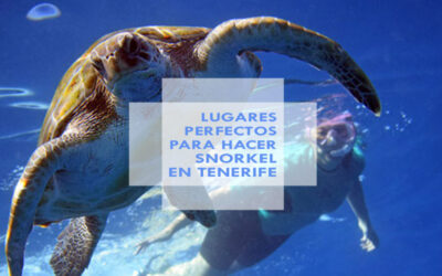 5 lugares perfectos para hacer snorkel