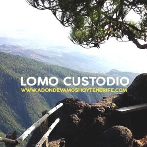 LOMOCUSTODIO1