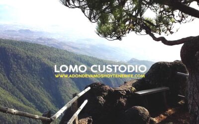 Mirador del Lomo Custodio