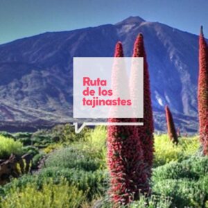 Ruta de los Tajinastes del Teide